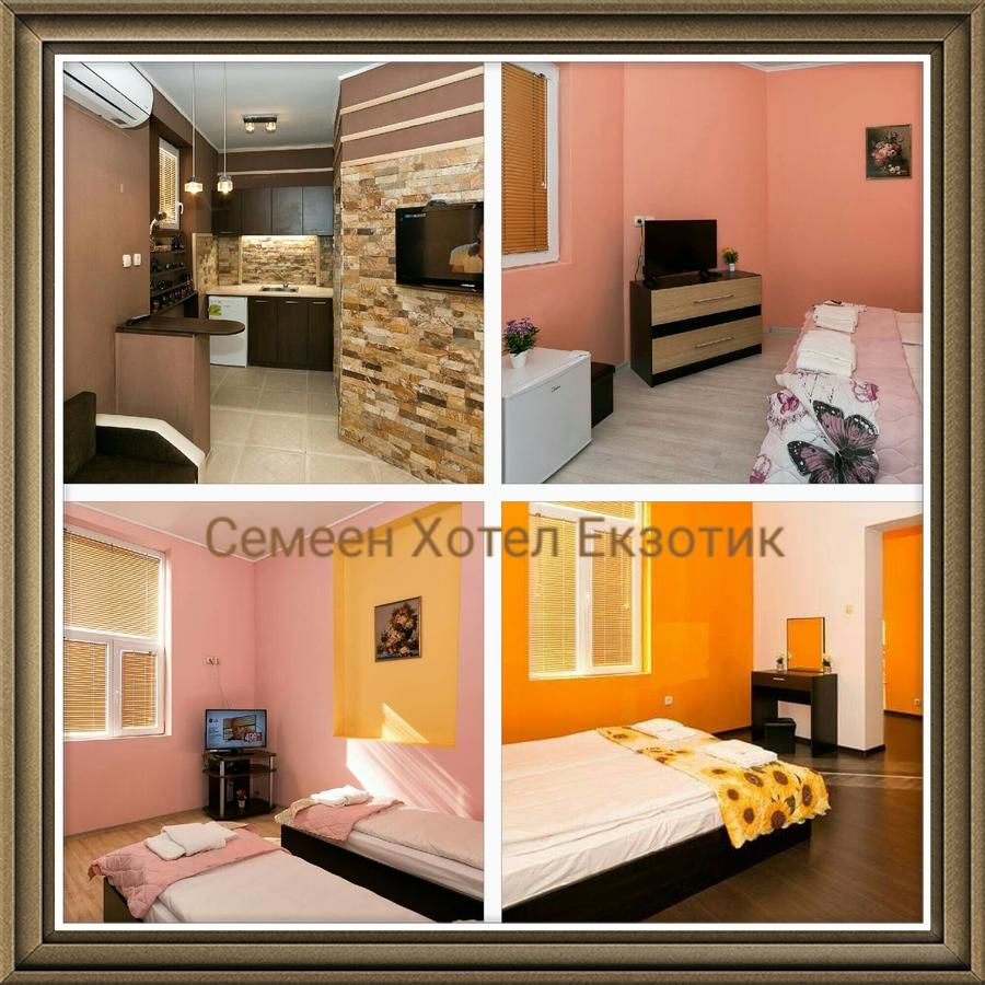 Гостевой дом Guest Rooms Exotic Пазарджик-4